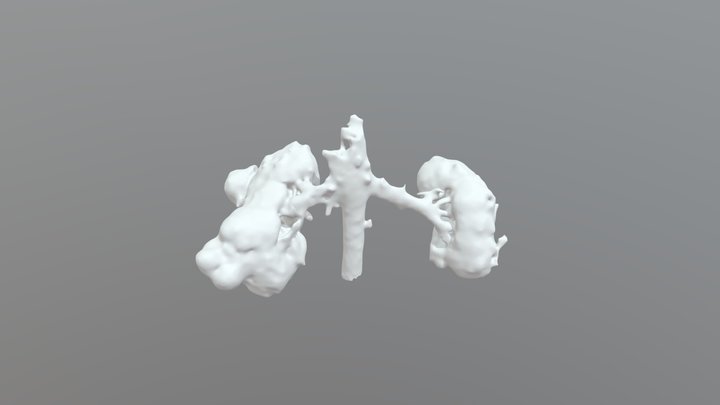 TC rins 3D Model
