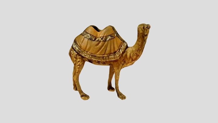 camel 3D Model
