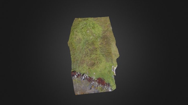 Shore feature Meall na Hoa, Grimsay, North Uist 3D Model