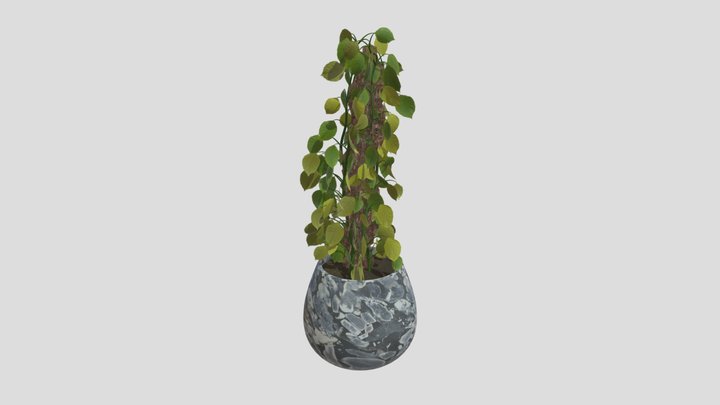 Climbing Plant – Gratis 3D-model STL
