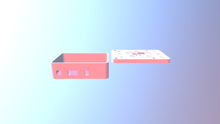 Raspberry Box Witcher Theme 3D Model