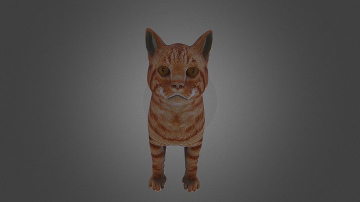 Cat 3d
