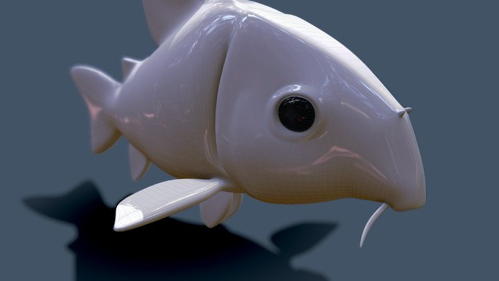 corydora 3D Model