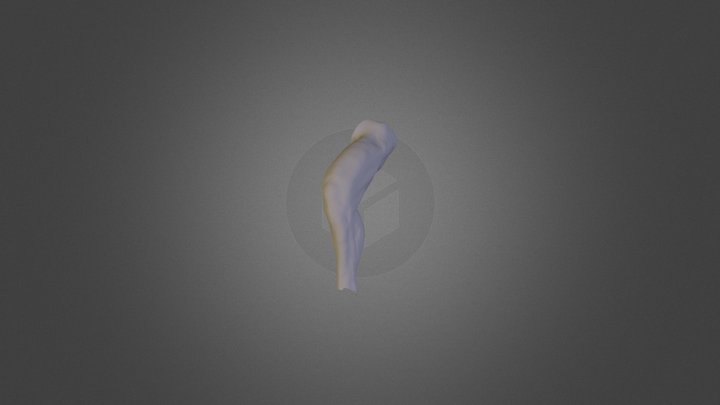 legBent 3D Model