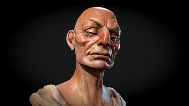 daily_n 3D Model