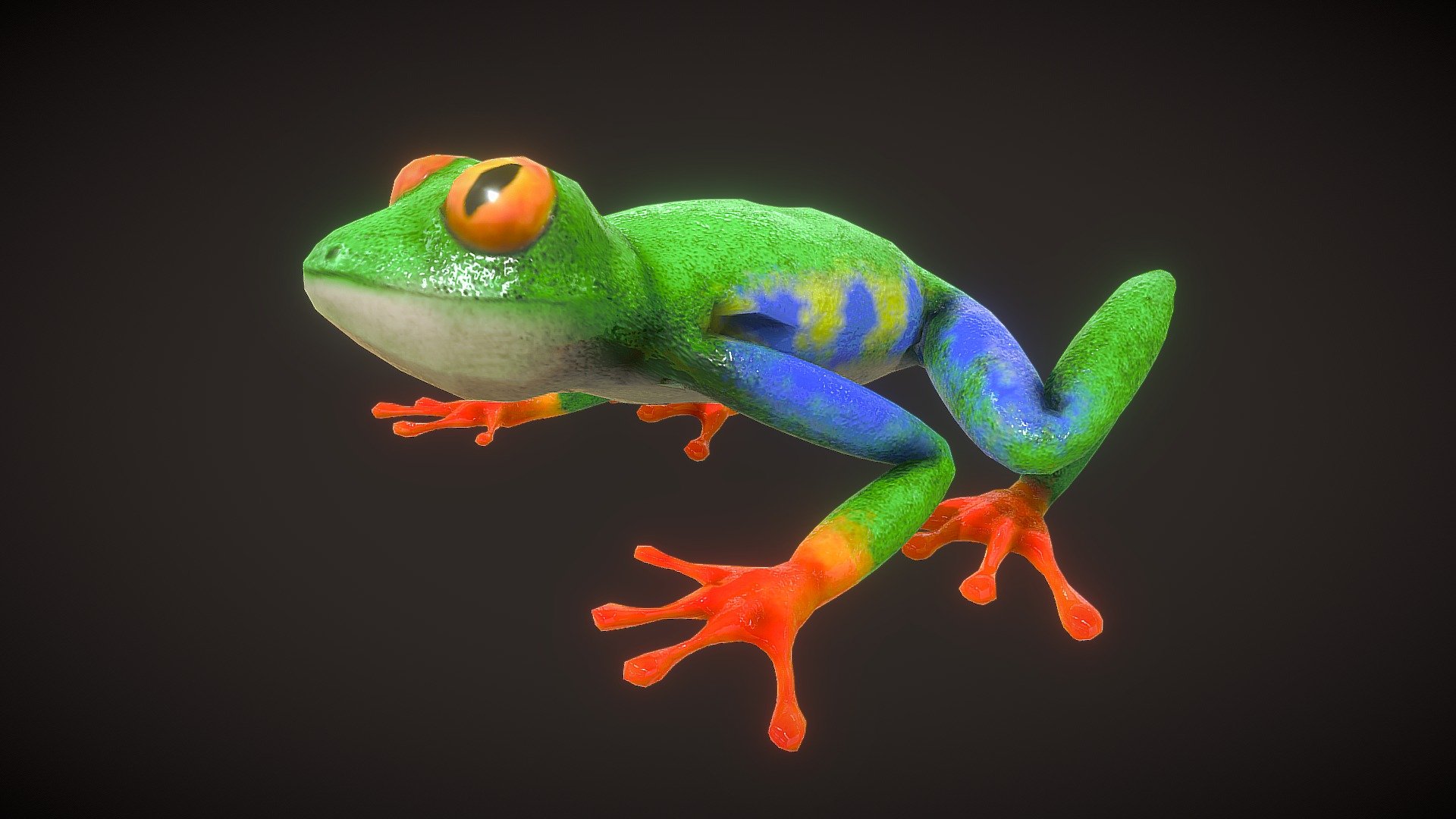 Red Eyed Tree Frog - Buy Royalty Free 3D model by lemonaden (@lemonaden)  [f21db99]