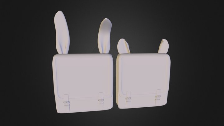 bag test 1.dae 3D Model