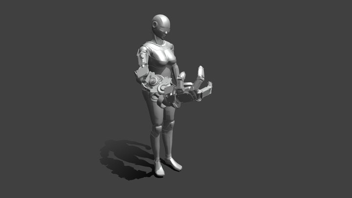 Robo Girl 3D Model