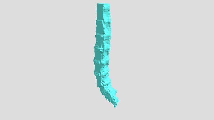 Spinal Cord [bones and discs] 3D Model