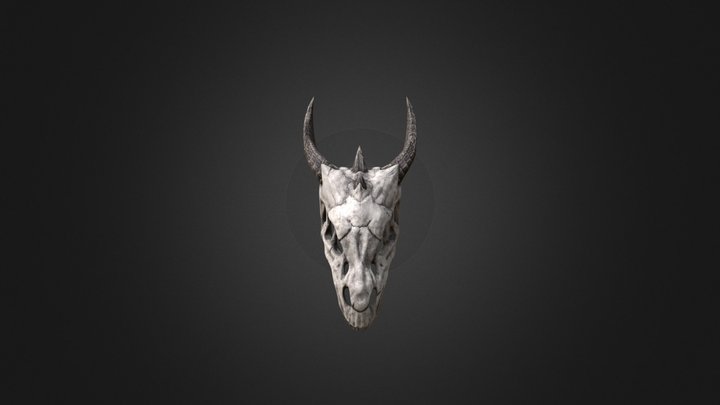 Dragon Head 3D Model