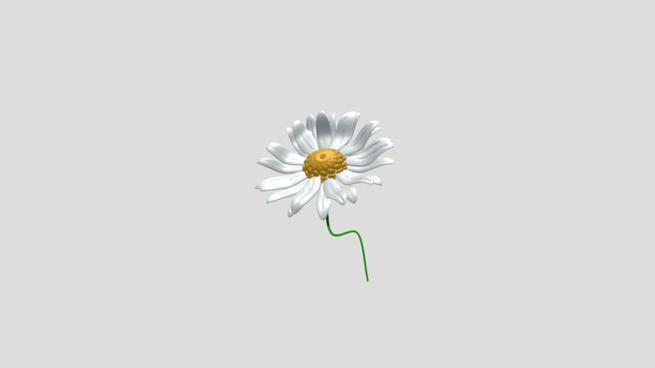 Daisy