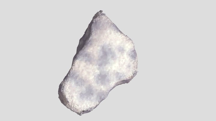 Dalmatian jasper (Stone) – Modello 3D gratuito STL