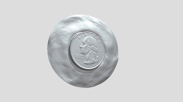 US Quarter face Scan 3D Model