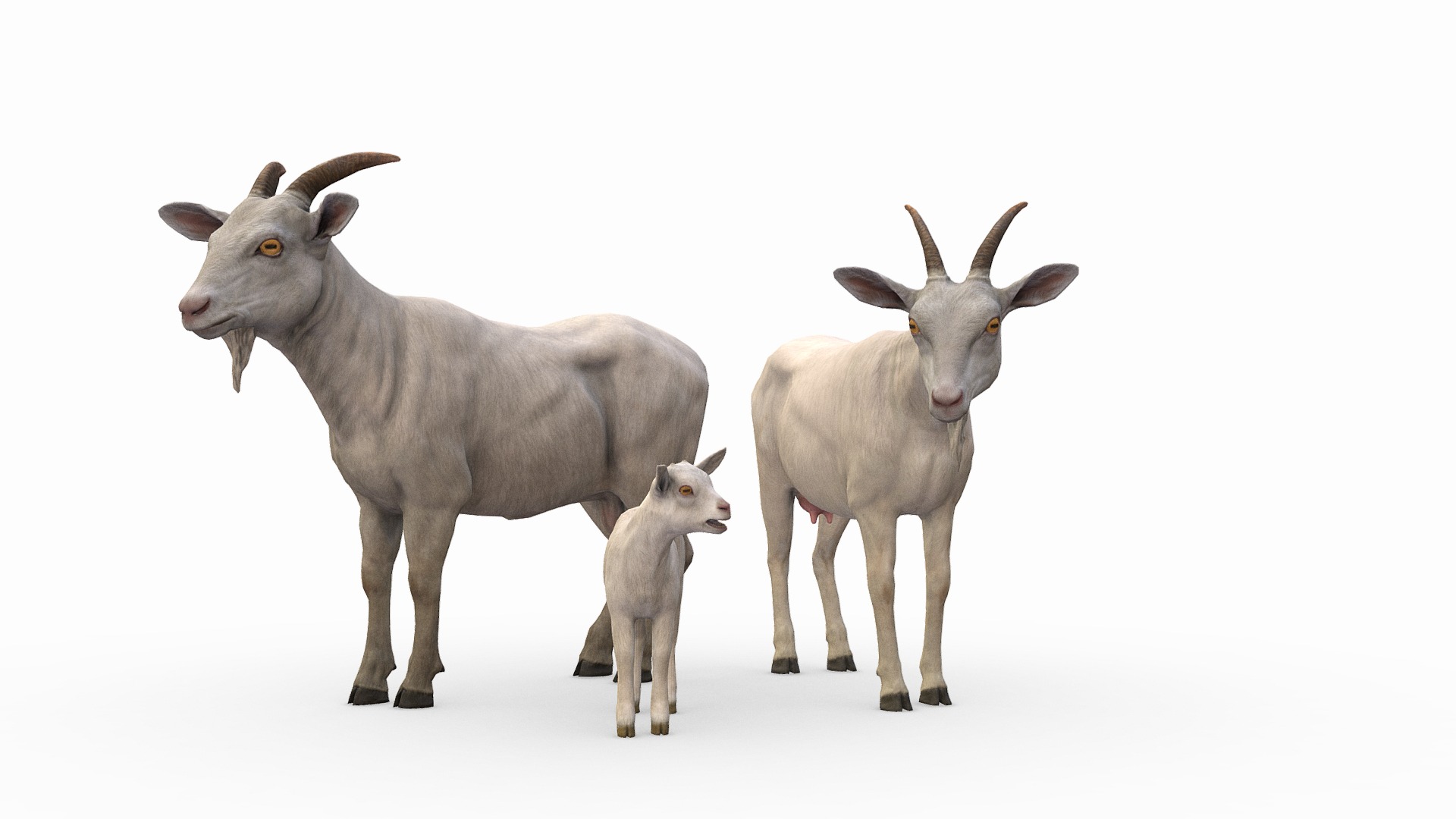 3D model Goat Family - This is a 3D model of the Goat Family. The 3D model is about a group of goats.