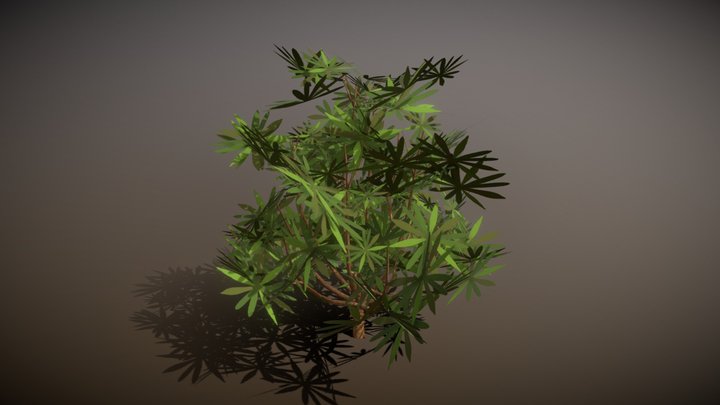 Pita bush 3D Model