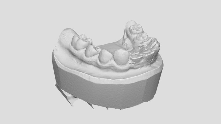 TestScan - Miniature Scanner (OpenScan) – Modèle 3D gratuit STL