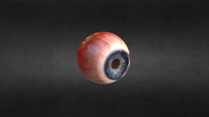 Realistic human eye 3D Model