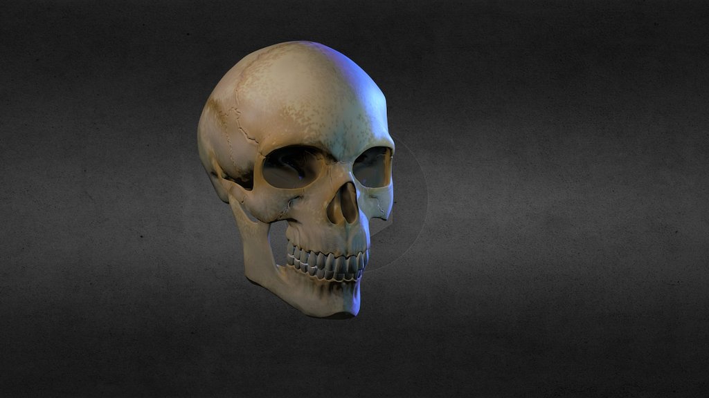 skull