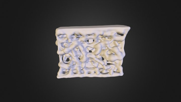 cancellous bone 3D Model