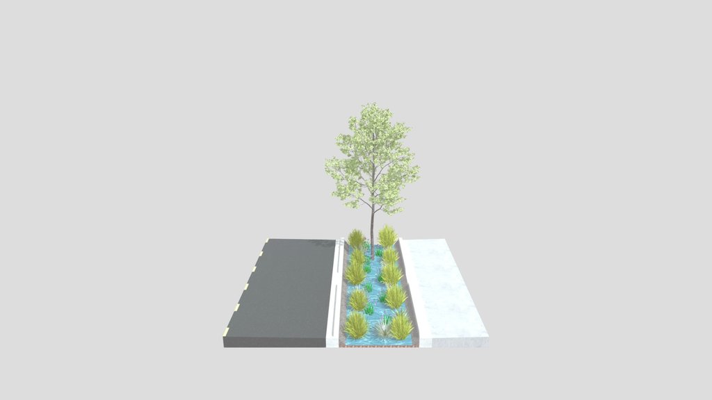 Bioswale