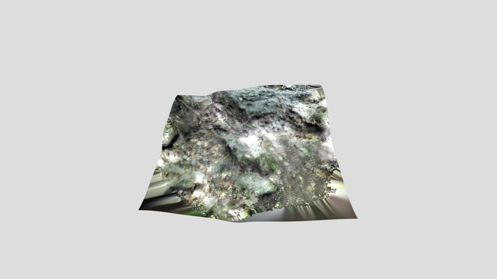 Upload nature Scan 3D Model