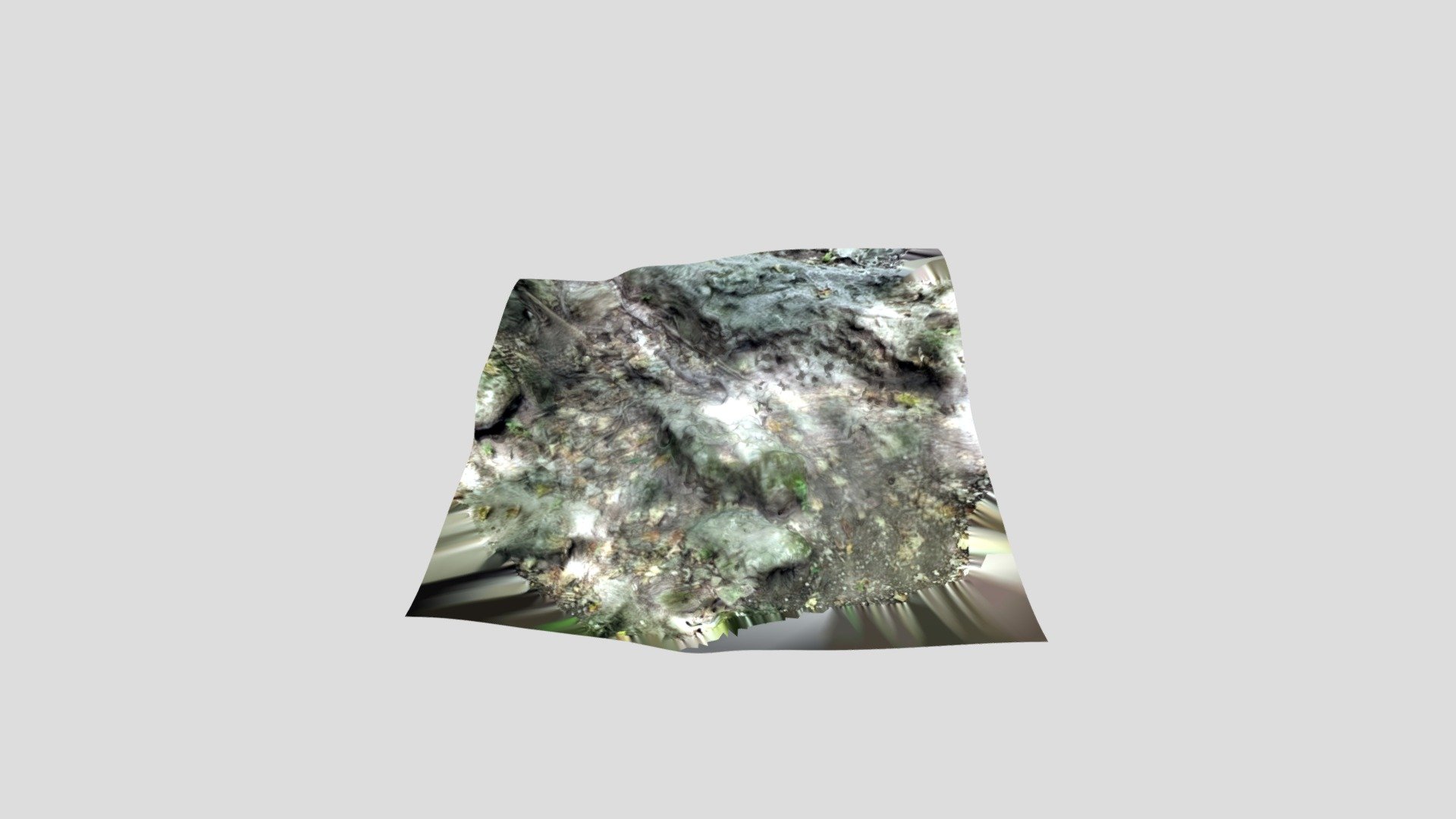 Upload nature Scan
