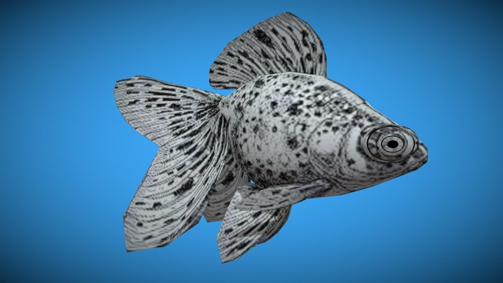 Big Eyes Gold Fish 3D Model