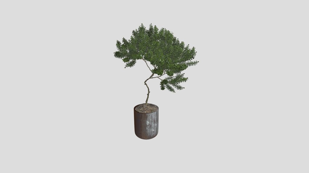 Indoor Plant Joy Perfume