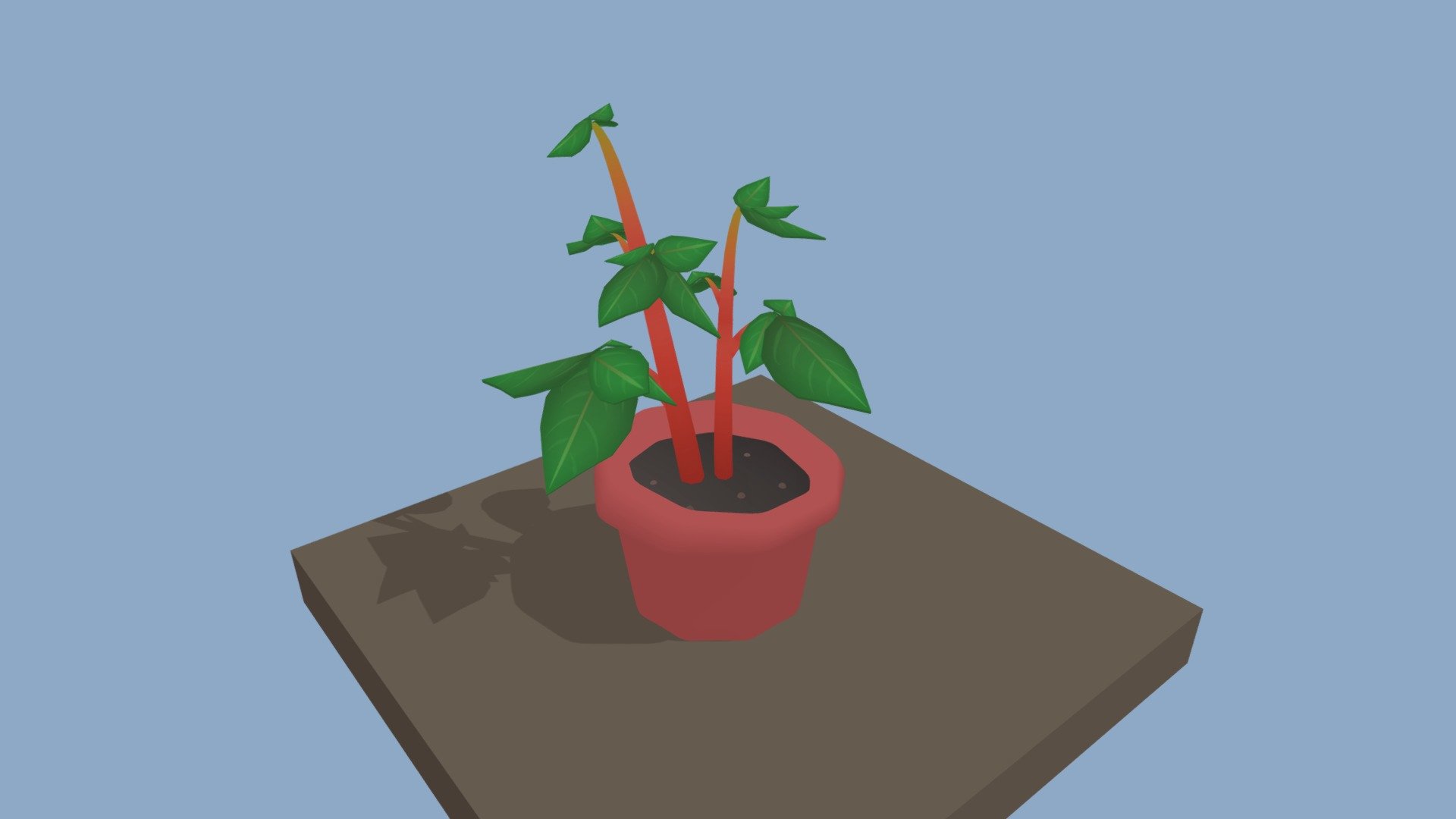 Potted Plant