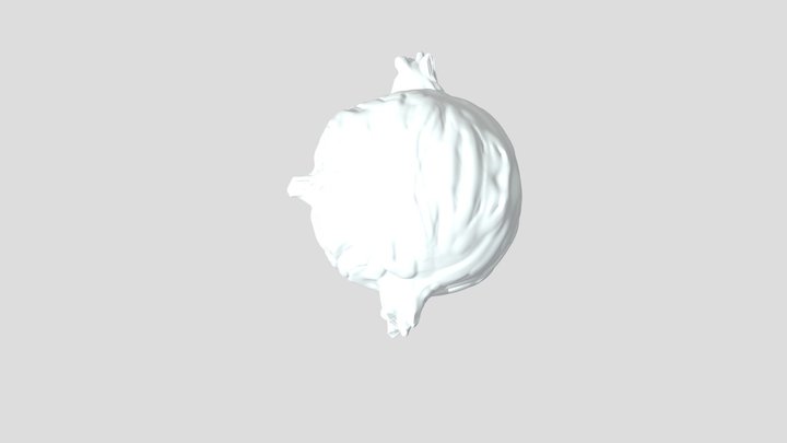 Richardson 3D Model