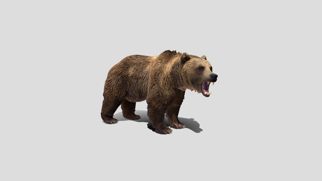 Roaring Brown Bear 3D Model Free