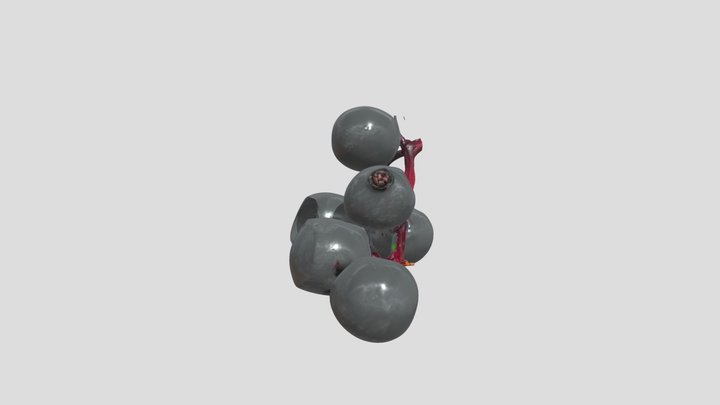 Elderberry 3D Model