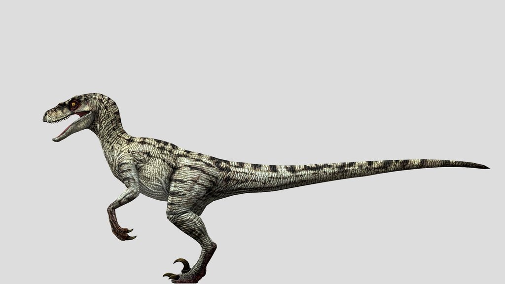 DracoWarrior's Female Velociraptor