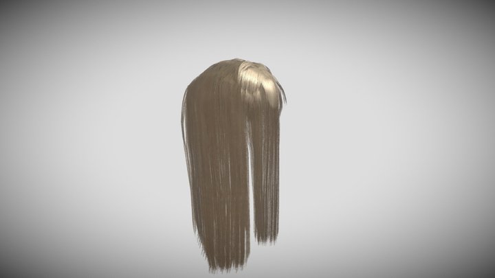 hair v3 3D Model