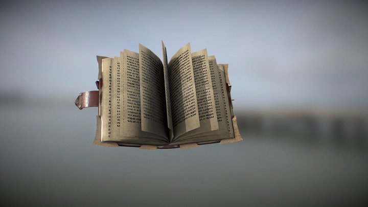 Paladin Book 3D Model