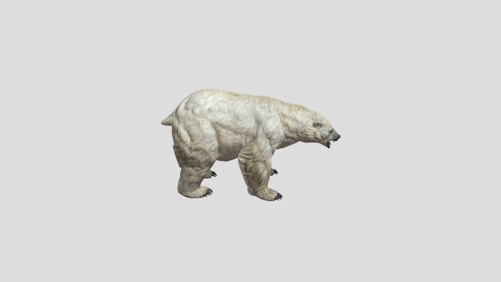 PolarBear 3D Model