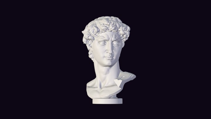 Michelangelo: the David 3D Model