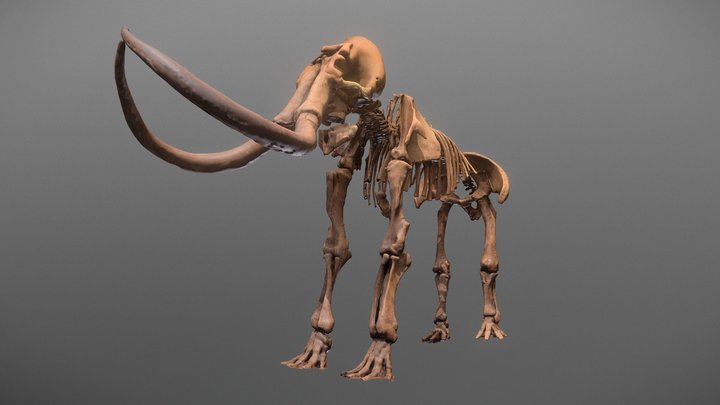 Mammoth 3D Model