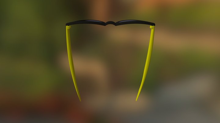 glasses 3D Model