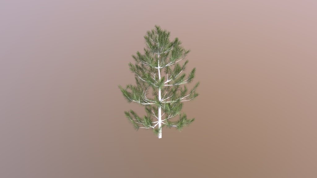 pine1