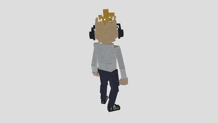 Soulware_Voxel_1 3D Model