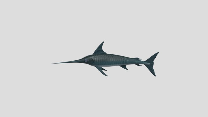 Stuffed Marlin (Swordfish) Model 3D Model