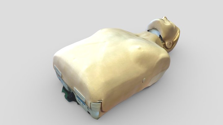 Training mannequin 3D Model