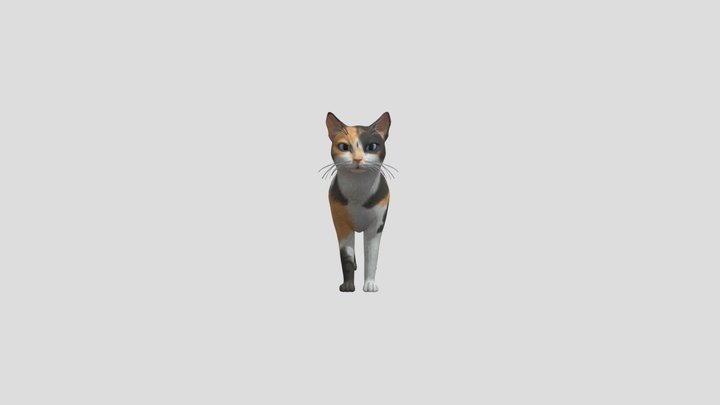 calico-cami 3D Model