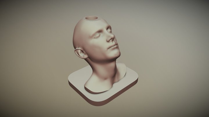 My Scanned Head (Ready to Print) 3D Model