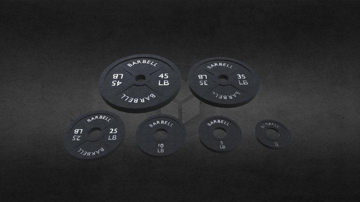 Weight Lifting Plates 3D Model