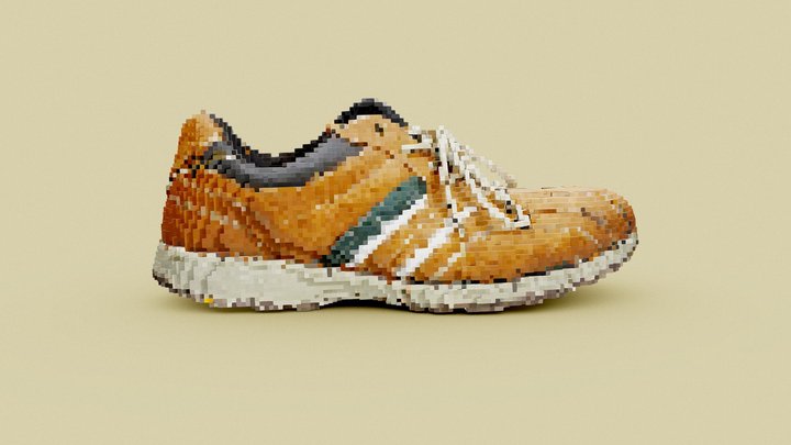 Voxelize Shoe 3D Model
