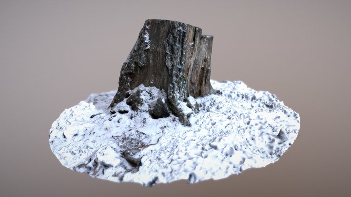 Stump winter 02 – Gratis 3D-model STL
