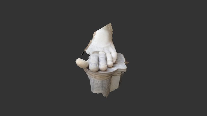Foot realigned 3D Model