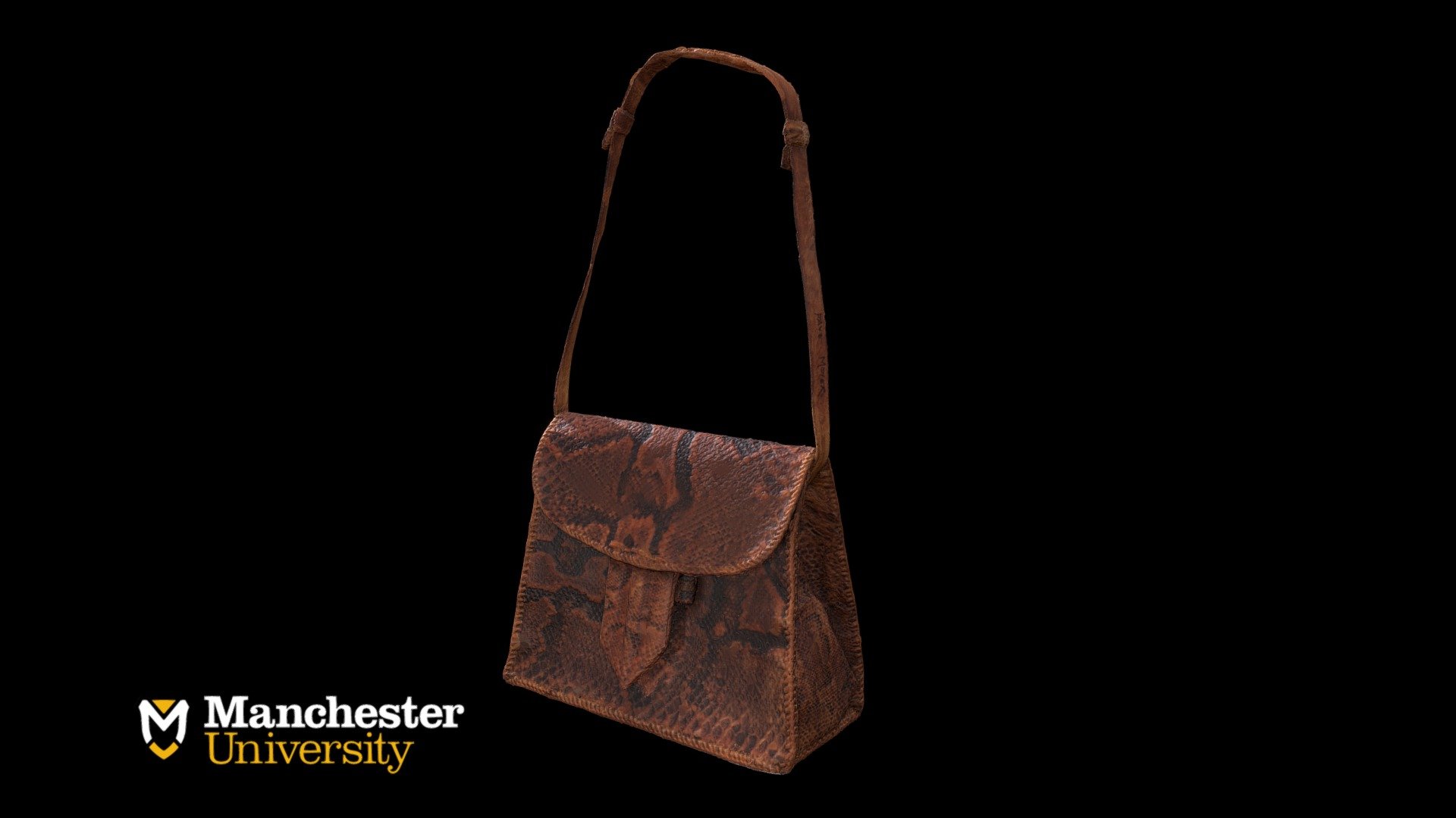 Snakeskin Purse